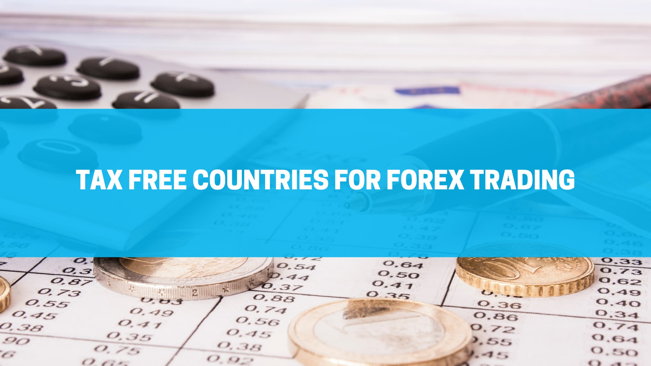 6 Best Forex Trading Signal Providers for 2024